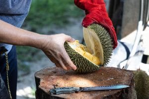 Series of person cutting open organic durian